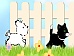 C�o e Gato